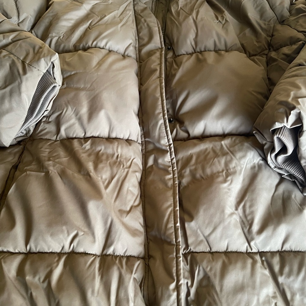 Jacket - Picture 1 of 5
